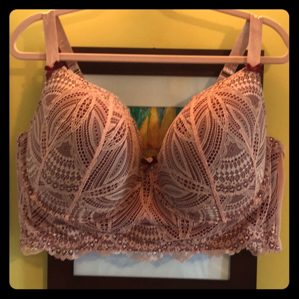 NWOT Pink/Red Lace Longline Bra